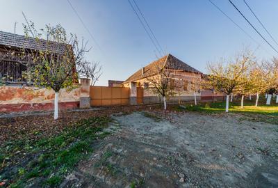 Casă de vânzare 2189mp - Seitin, judetul Arad - 7