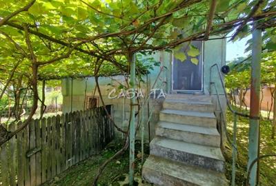 Casa situata in orasul Targu-Carbunesti , Sat Ștefanesti - 10