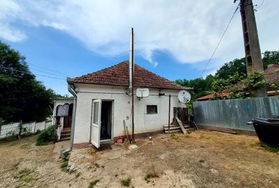 Casă cu farmec rural și confort modern–Sat Nojag, jud. Hunedoara 19 km de Deva - 9