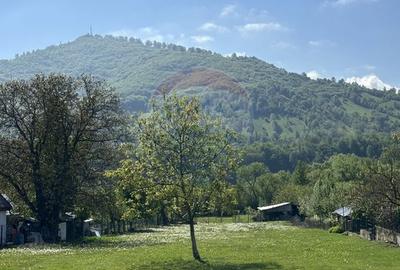 Teren Pangarati / DN Pangarati - 4