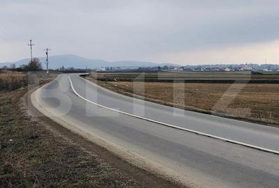Teren Construcții extravilan de 30000 mp, în Nord