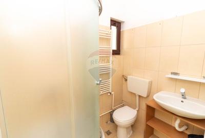 Casa / Vila spatioasa P+1+M de vanzare zona Padurea Cernica - 37