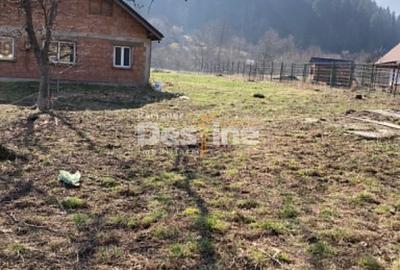 Teren Construcții intravilan de 3400 mp, în Negulești