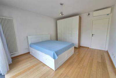 Inchiriere vila moderna Iancu Nicolae - 29