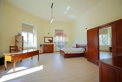 Apartament 2 cam., ultracentral, acces auto, Parc 1 Decembrie, Vânzare - 20