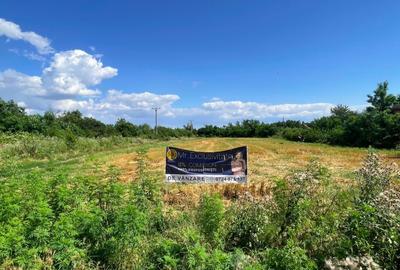 Teren Construcții intravilan de 7500 mp, în Ogrezeni