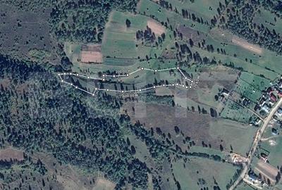 Teren agricol extravilan de 13103 mp, în Dealu Negru