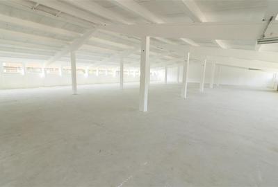 Hala 410 mp, renovata complet, Tomesti - zona industriala - 2