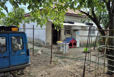 Casa + teren 1.065 mp | Domnesti – Zona Toamnei | Deschidere 20 ml - 20