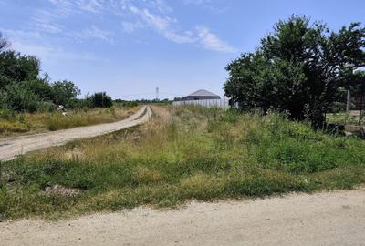 Teren Construcții intravilan de 5200 mp, în Săbăreni