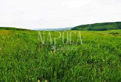 Teren extravilan pentru constructii de vanzare in Popesti - 4