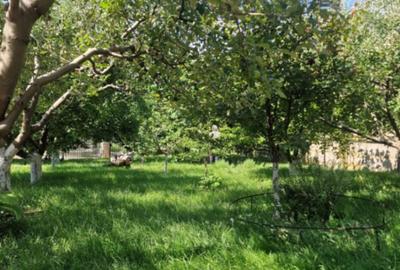 Casă P+2 Lebăda la strada principală - 7