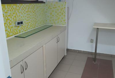 13 Septembrie Petre Ispirescu 2 camere de inchiriat 400 euro - 6