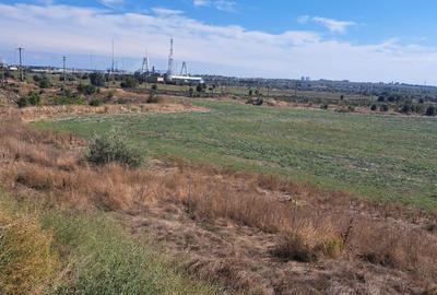 TEREN INTRAVILAN 20 HA ÎN LAZU – ZONĂ INDUSTRIALĂ, ÎN PROXIMITATEA A4 | DESCHIDE - 3