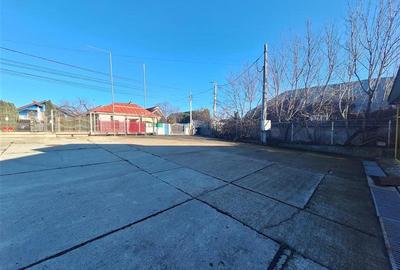 Showroom | 2 x Hale | Teren 1900 mp – inchiriere | vanzare, Bucegi - 10