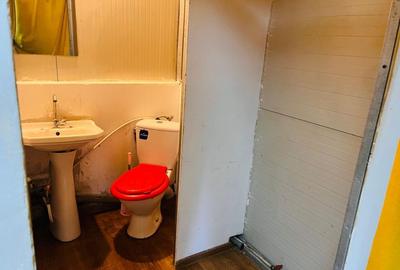 Spatiu comercial stradal, pozitie strategica – N. Balcescu, zona Piata Centrala - 8