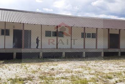 Hală industrială de închiriat 1.200 mp Godeni Argeș Depozitare / Producție - 5