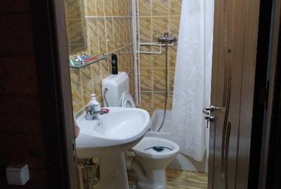 Casă de vacanță în zona subcarpatica - 7
