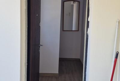 Bucurestii Noi-Str Ciresoaia vila renovata,P+1,3cam 120mp,curte 340mp,proprietar - 7