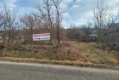 Teren Construcții extravilan de 5370 mp, în Dobrovăț