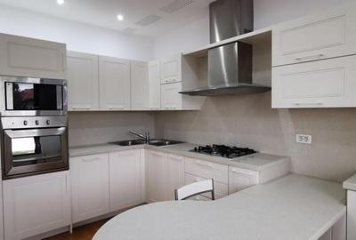 Dorobanti Penthouse supr. 235mp terasa 130mp - 16