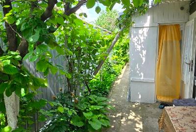 Vand casă 3 camere în oraș cu grădină mare… la preț de apartamen - 6