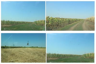 Teren agricol extravilan de 73000 mp, în Becicherecu Mic