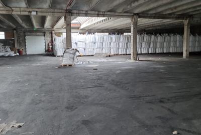 Hala depozitare 6641 mp si cladire birouri - Dornesti, Suceava - 15