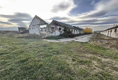 Platforma industriala 27.000mp - Racova - Buhusi - 11