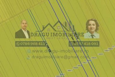 Teren agricol extravilan de 75000 mp, în Munteni