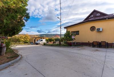 Proprietate Privata | Oltenesti Vaslui | Business la Cheie - 5