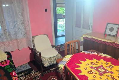 Vand casa in Deva, zona Viile Noi, suprafata  de teren de 766 mp, - 7