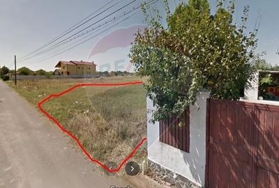 Vanzare teren Snagov - Izvorani, Strada Gradinarilor - 4