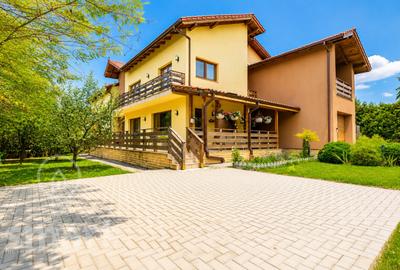 Casa individuala de vanzare in Faget 360mp cu teren de 1100 mp - 1