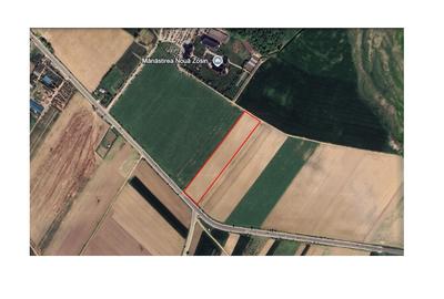 Teren agricol extravilan de 10000 mp, în Coșula