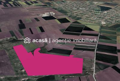 Teren 42 ha pentru parc fotovoltaic – Macea, Arad - 1