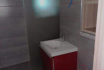 Apartament 2 camere Iuliu Maniu - 19
