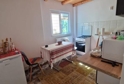 Breaza-casa renovata cu livada pe rod - 12