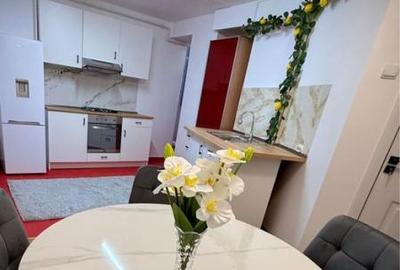 Apartament cu 3 camere decomandat, mobilat în Ultracentral