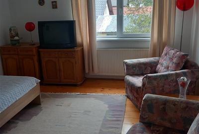 Casa tip duplex in zona centrala, 4 camere, mobilata complet, pret foarte bun - 20