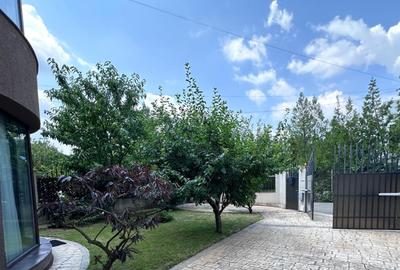 Vila individuala P+2,renovata 2026,curte,grădină,garaj. - 3