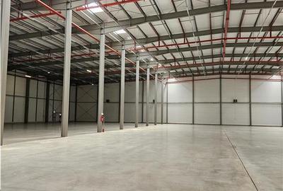 Spatiu Industrial - 2500 mp - Logistica - Productie - Depozitare - Distributie - 3