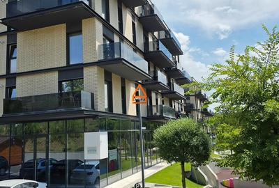 Spatiu comercial - 130 mp - Family Market Bucium , Freya - 2