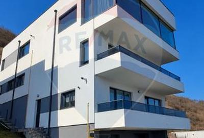Duplex de inchiriat in Grigorescu - 20