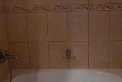 APARTAMENT 2 CAMERE PIATA ROMANA LINGA METROU - 58