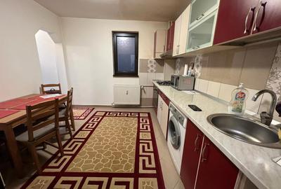 Apartament 2 camere de inchiriat Gorjului (exact in intersectie) - 14