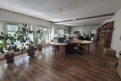 Hală 1.320 mp + birouri de vânzare, Splaiul Unirii, Sector 3 - 17