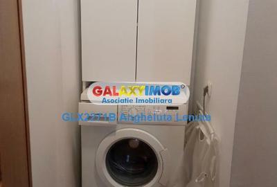 Drumul Taberei Targul Neamt apartament 2 camere de inchiriat - 9