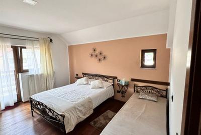 Casa de vacanta-pensiune - 22