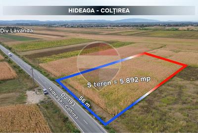 Teren agricol extravilan de 5892 mp, în Colțirea